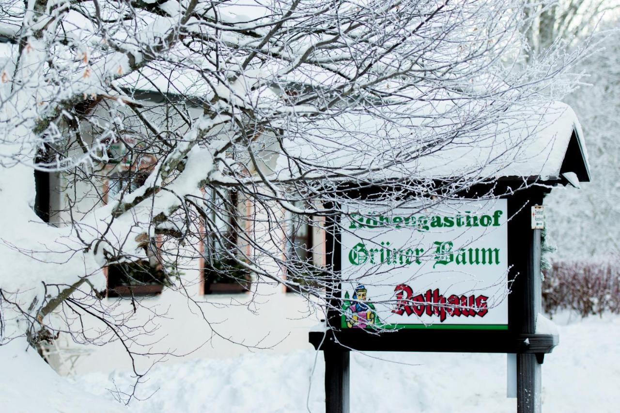 Hotel & Restaurant Gruner Baum - Die Grune Oase Am Feldberg Фельдберг Экстерьер фото
